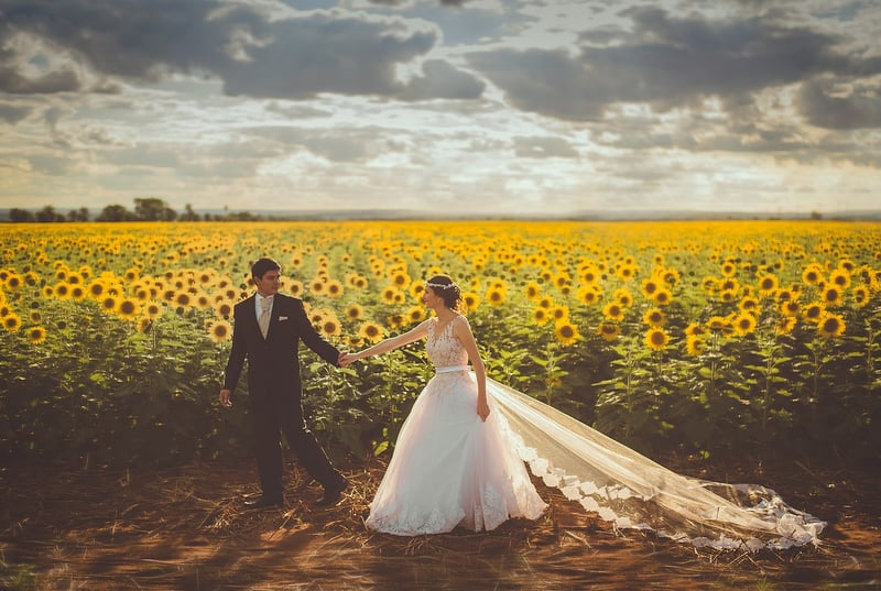 Sunflower Fields Estate Wedding Venue